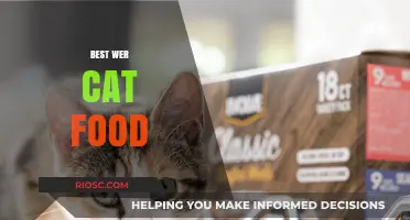 Purr-fect Nutrition: Unveiling the Best Wet Cat Food Options for Your Feline Friend