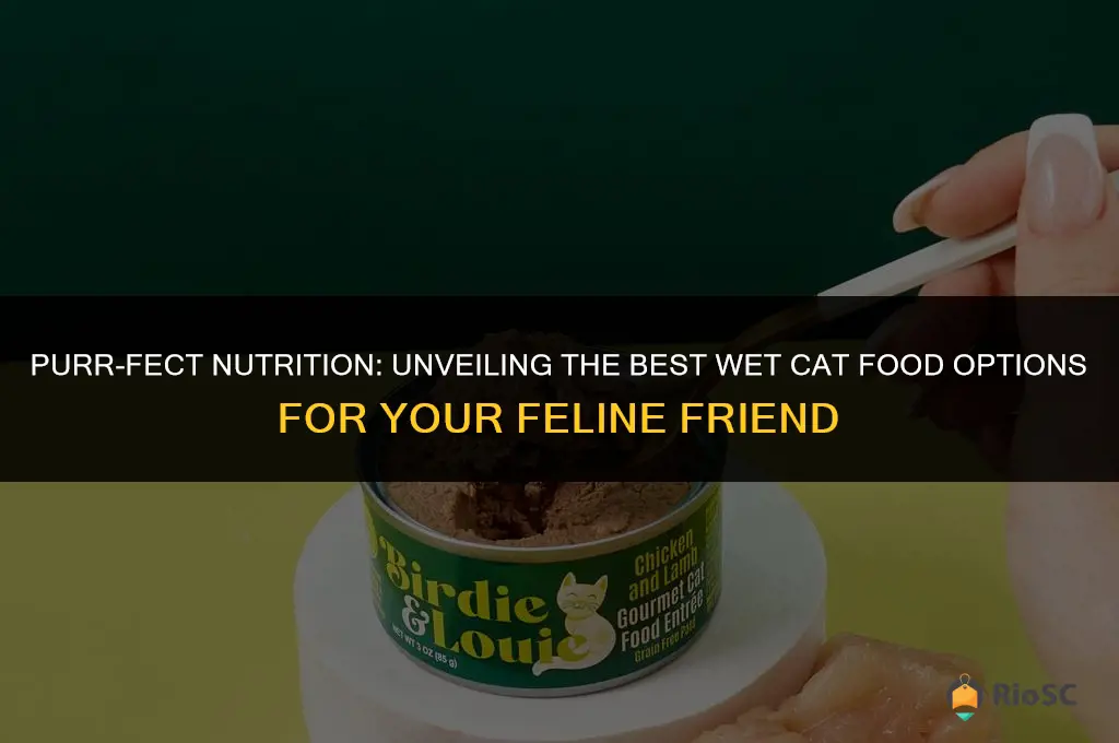 best wer cat food