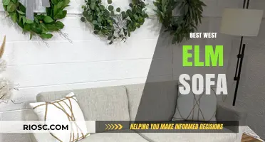 Top Picks for Comfort and Style: The Best West Elm Sofas for Your Living Space