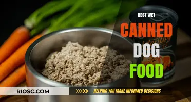 Top Picks for Your Pup: The Best Wet Canned Dog Foods of 2024