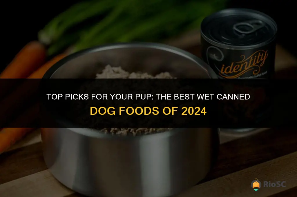 best wet canned dog food