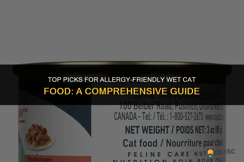 best wet cat food for allergies