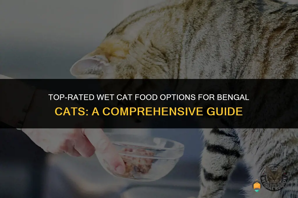 best wet cat food for bengals