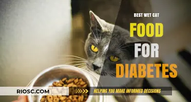 Managing Diabetes in Cats: Top Wet Food Options for Optimal Health