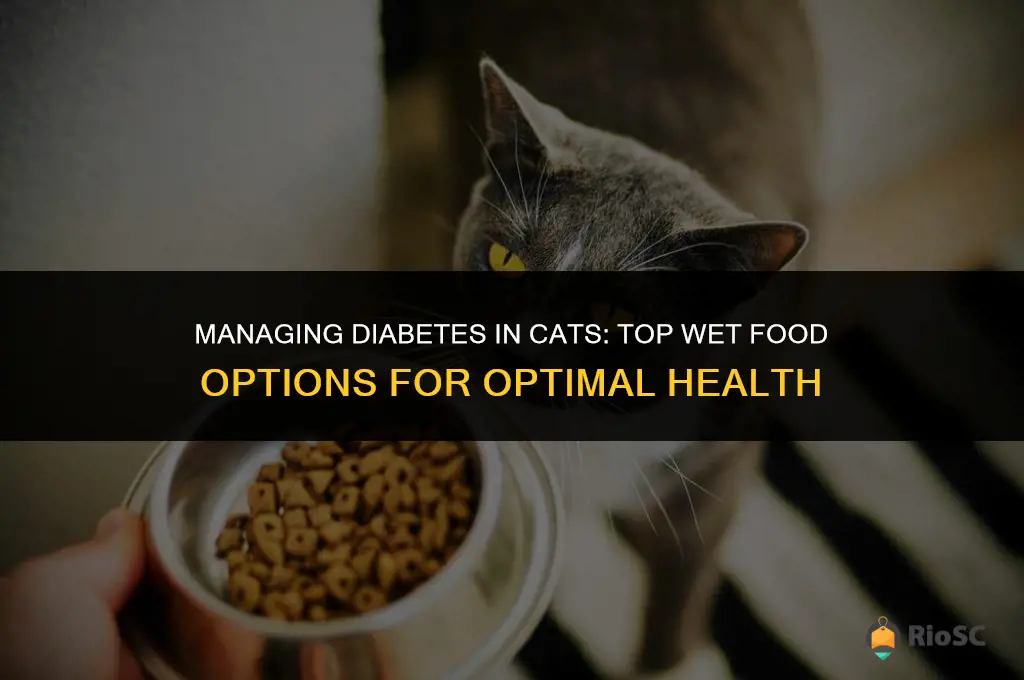 best wet cat food for diabetes
