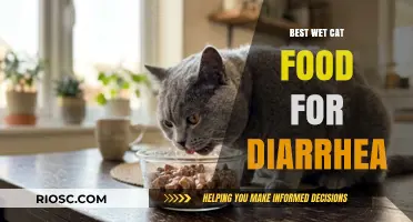 Top Picks for Soothing Wet Cat Food to Help with Diarrhea