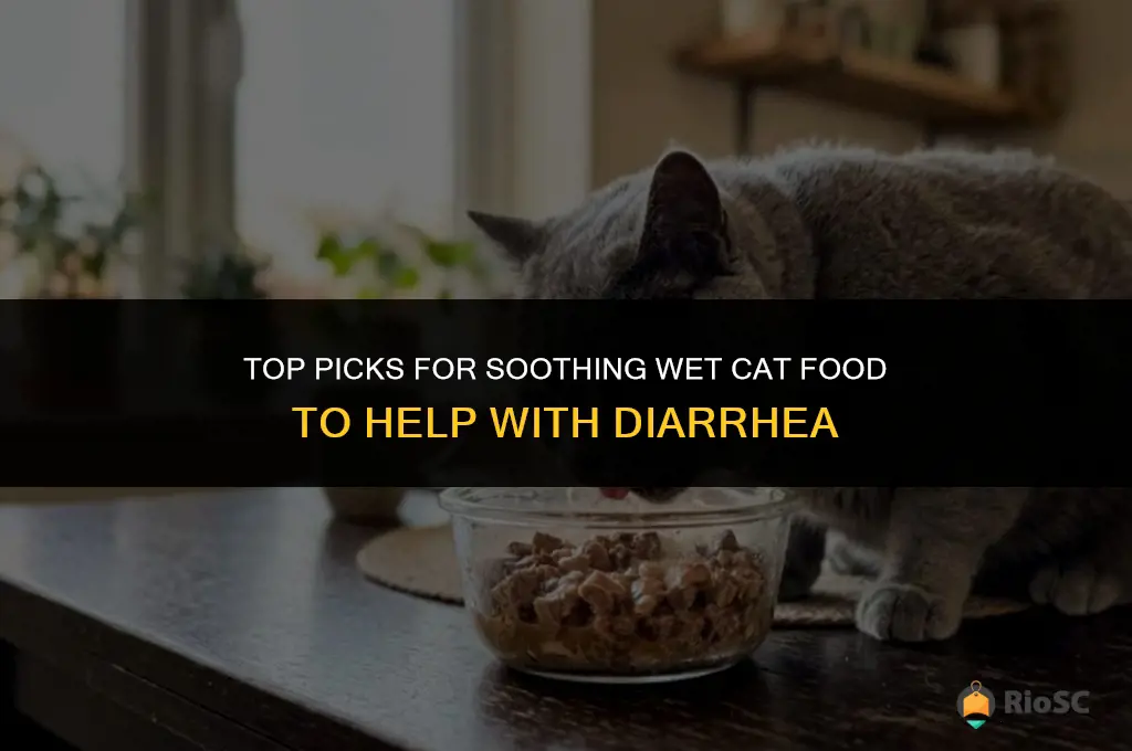 best wet cat food for diarrhea