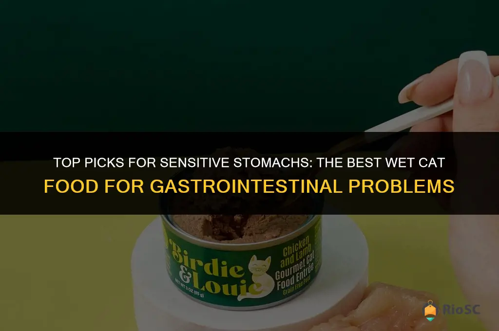 best wet cat food for gastrointestinal problems