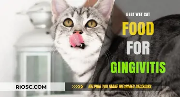 Top Picks for Wet Cat Food to Combat Gingivitis: A Comprehensive Guide
