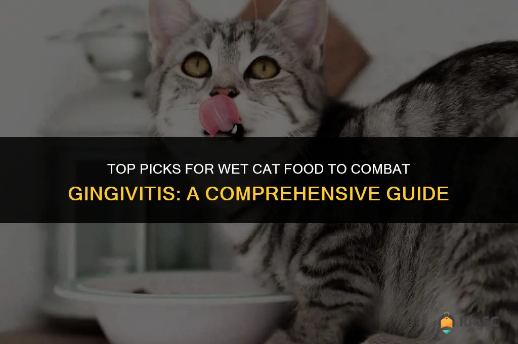 best wet cat food for gingivitis