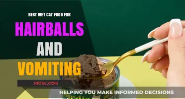 Top Wet Cat Food Options to Combat Hairballs and Vomiting