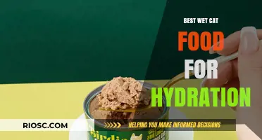 Purr-fectly Hydrated: Top Wet Cat Food Picks for Optimal Feline Health