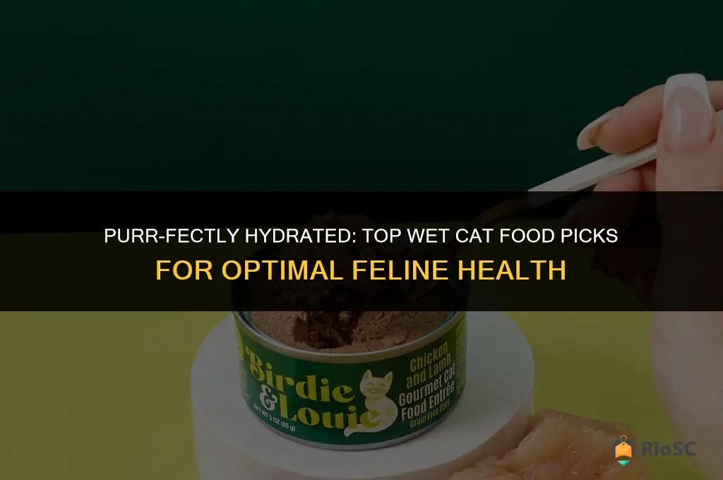 best wet cat food for hydration