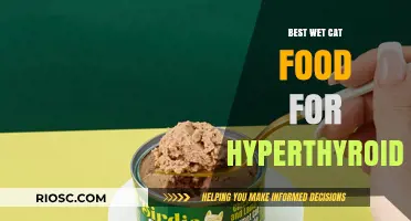 Top Wet Cat Food Options for Managing Hyperthyroidism in Your Feline Friend