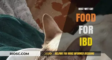 Top Picks for Wet Cat Food to Manage IBD: A Comprehensive Guide
