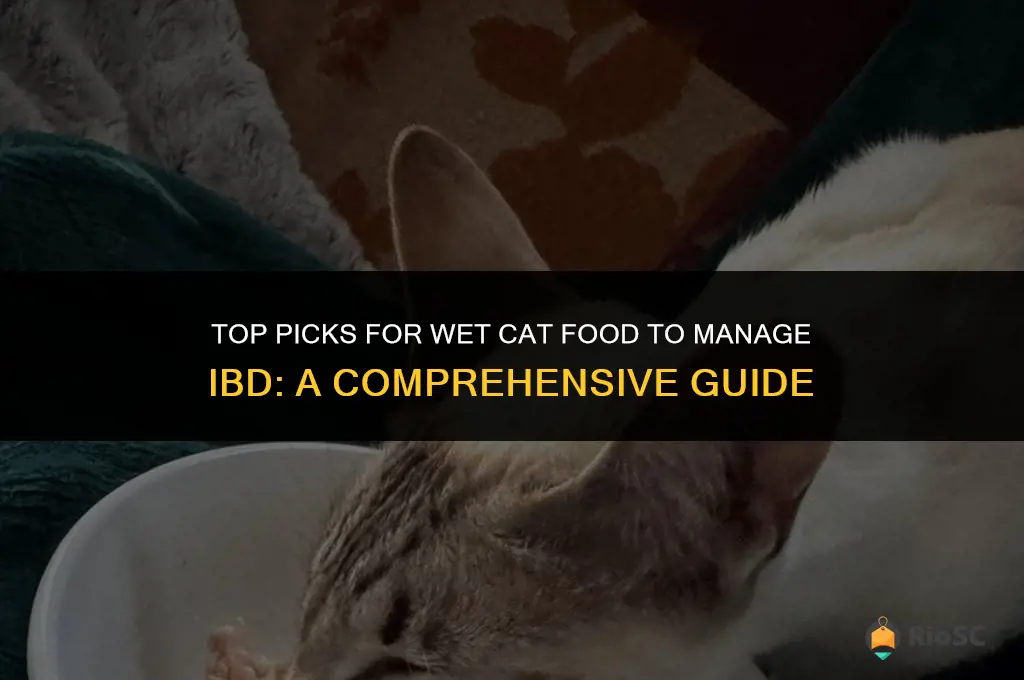best wet cat food for ibd