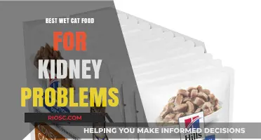 Top Wet Cat Food Options for Managing Kidney Issues