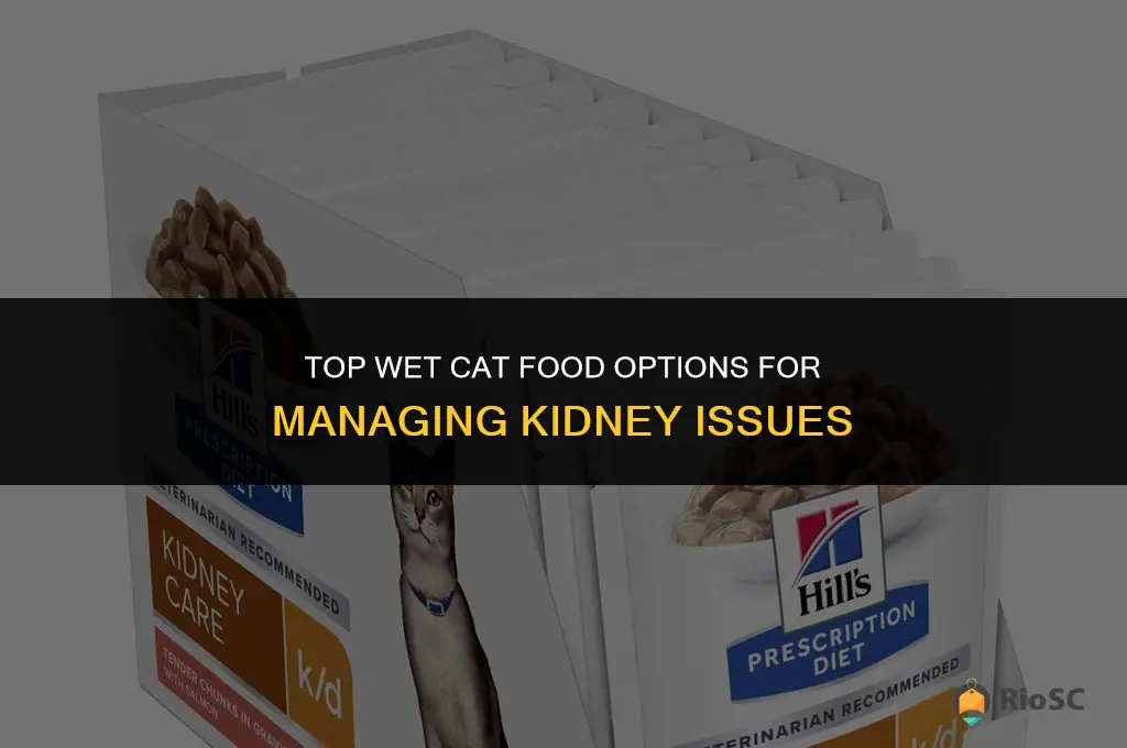 best wet cat food for kidney problems