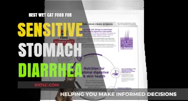 Top Picks for Soothing Sensitive Stomachs: The Best Wet Cat Food to Ease Diarrhea