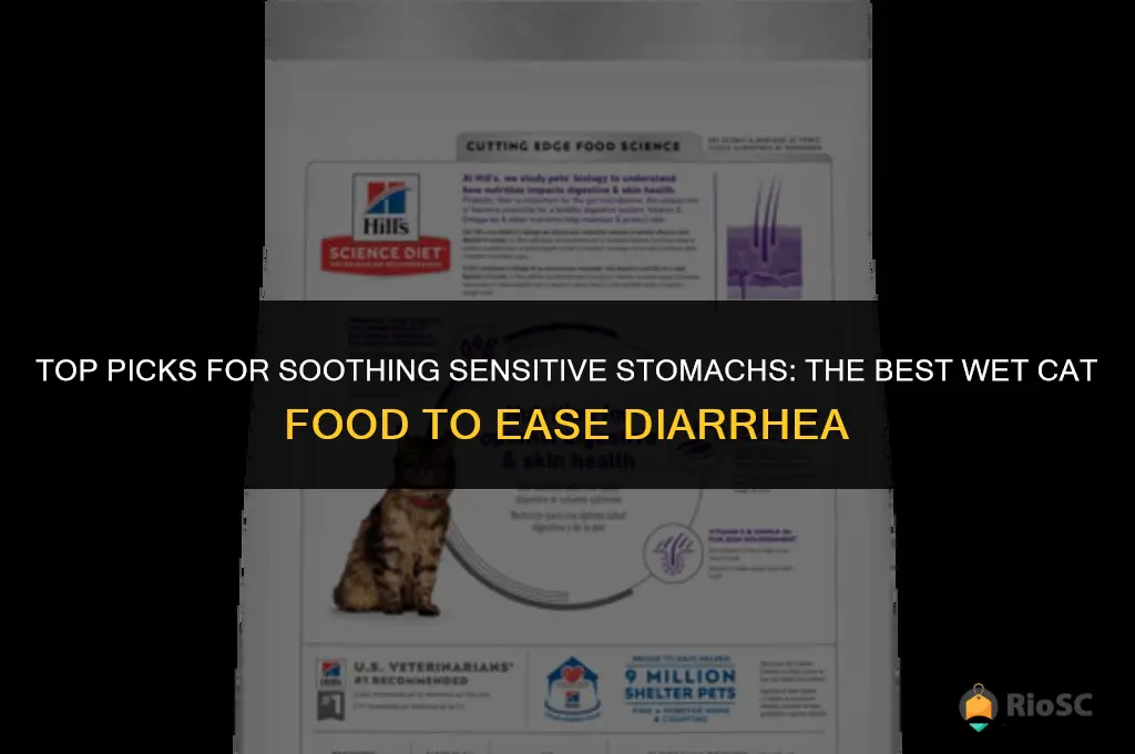 best wet cat food for sensitive stomach diarrhea
