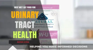 Top Picks for Wet Cat Food Supporting Urinary Tract Health