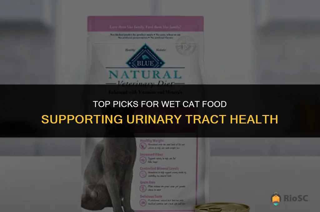 best wet cat food for urinary tract health