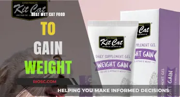 Top Picks for Wet Cat Food to Help Your Feline Friend Gain Weight