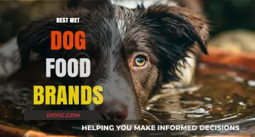 Top-Rated Wet Dog Food Brands: A Comprehensive Guide for Pet Owners