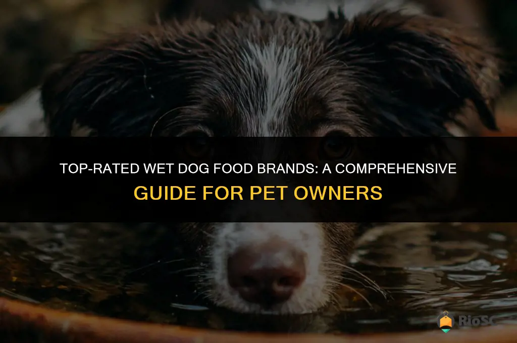 best wet dog food brands