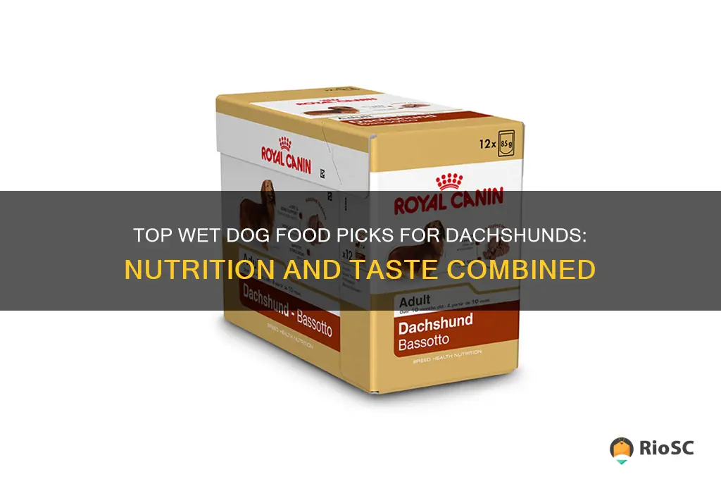 best wet dog food for dachshunds