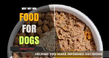 Top Picks for Your Pup: The Best Wet Dog Food Options