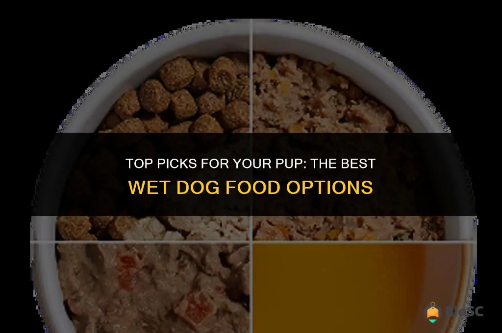 best wet dog food for dogs