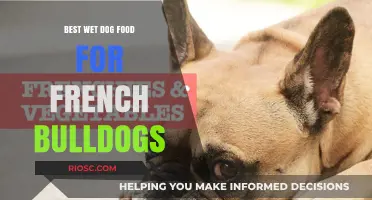 Top-Rated Wet Dog Food Options for French Bulldogs: Nutrition and Taste Combined