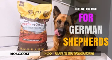 Top-Rated Wet Dog Food Options for German Shepherds: Nutrition and Taste Combined