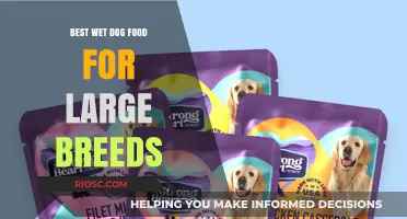 Top-Rated Wet Dog Food Options for Large Breeds: Nutrition and Taste Combined