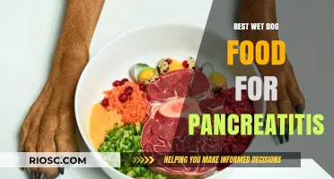 Nutritious Wet Dog Food Options to Support Pancreatitis Management
