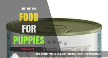 Nourishing Growth: Top Wet Dog Food Picks for Your Playful Puppy
