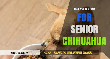 Nutritious Wet Dog Food Options for Aging Chihuahuas: Top Picks for Senior Health and Vitality