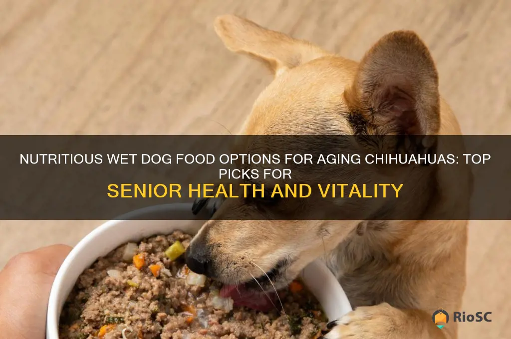 best wet dog food for senior chihuahua