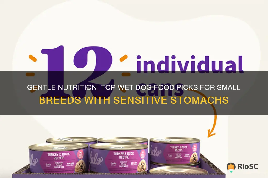best wet dog food for sensitive stomach small breed