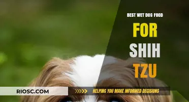 Top Wet Dog Food Picks for Shih Tzu: Nutrition, Taste, and Health Benefits