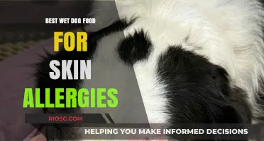 Soothing Solutions: Top Wet Dog Foods to Alleviate Skin Allergies