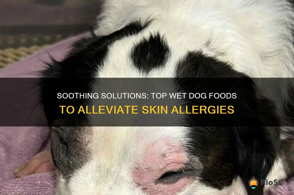best wet dog food for skin allergies