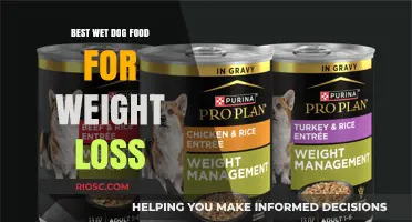 Slimming Down Your Furry Friend: Top Wet Dog Foods for Healthy Weight Loss