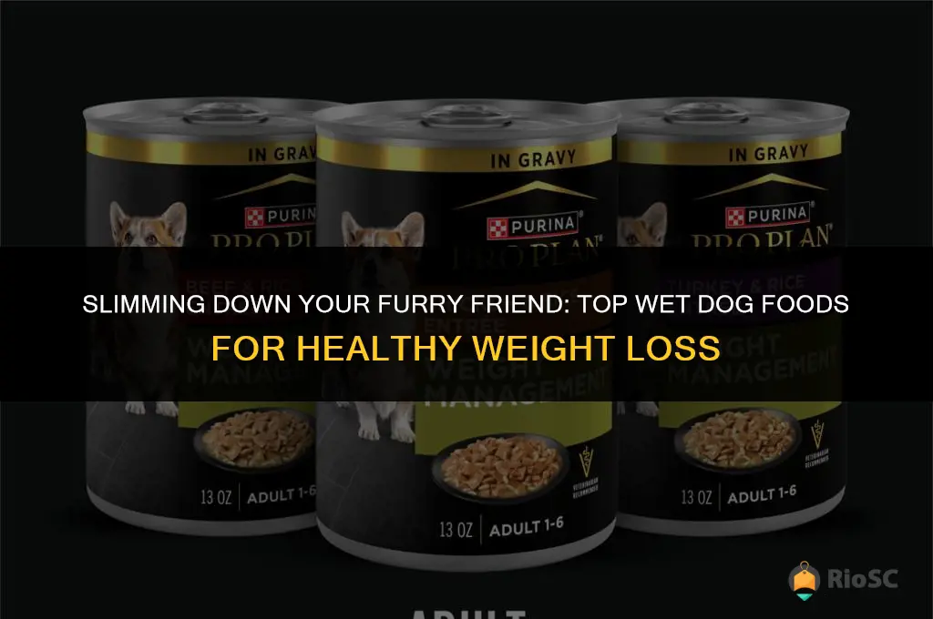 best wet dog food for weight loss