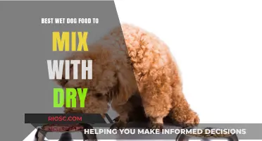 Enhance Your Dog's Diet: Top Wet Dog Foods to Mix with Dry Kibble for Optimal Nutrition