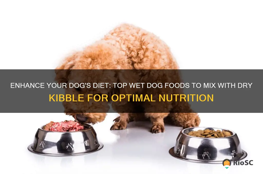 best wet dog food to mix with dry