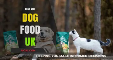 Top-Rated Wet Dog Food in the UK: Nutritious and Delicious Options for Your Canine Companion