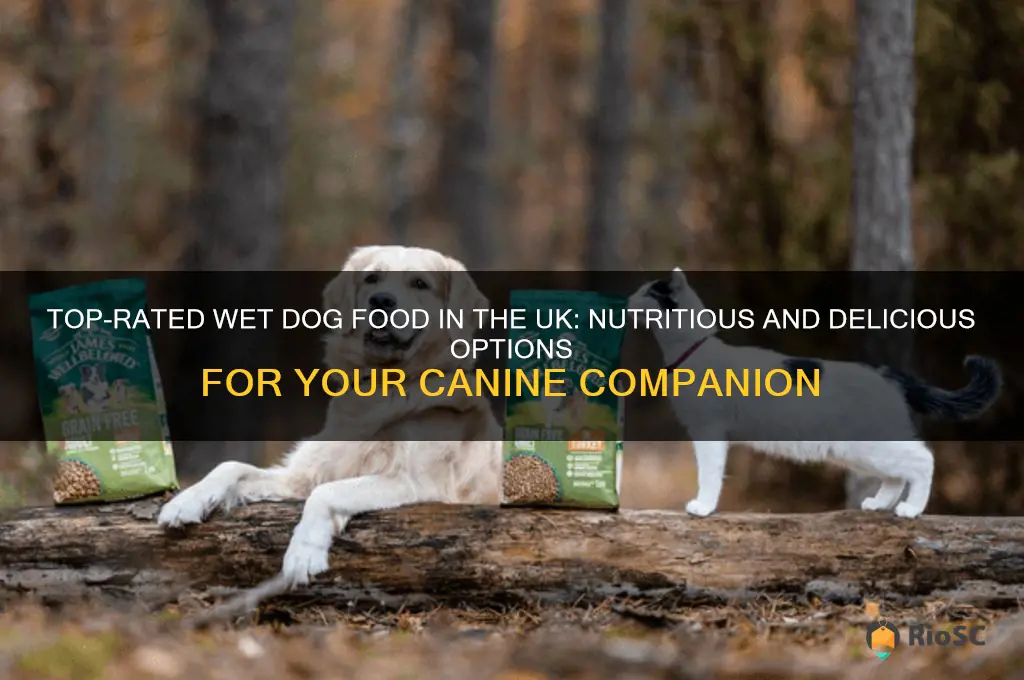 best wet dog food uk