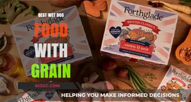Top Grain-Inclusive Wet Dog Foods for Optimal Nutrition and Taste
